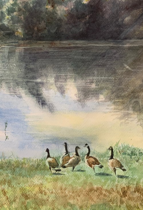 Goose Pond by Yoshiko Murdick