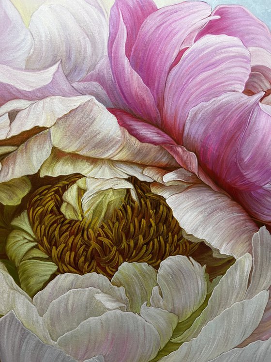 A pair of peonies in a delicate color