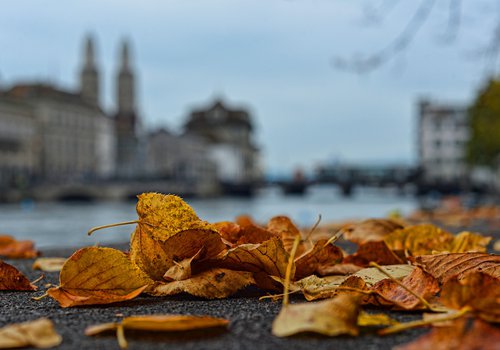 " Zürich, Switzerland. Magical Autumn "   Limited Edition 1 / 15 by Dmitry Savchenko