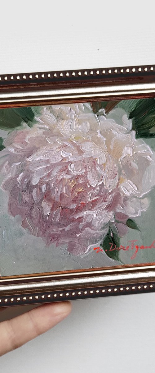 Peony flower white by Nataly Derevyanko