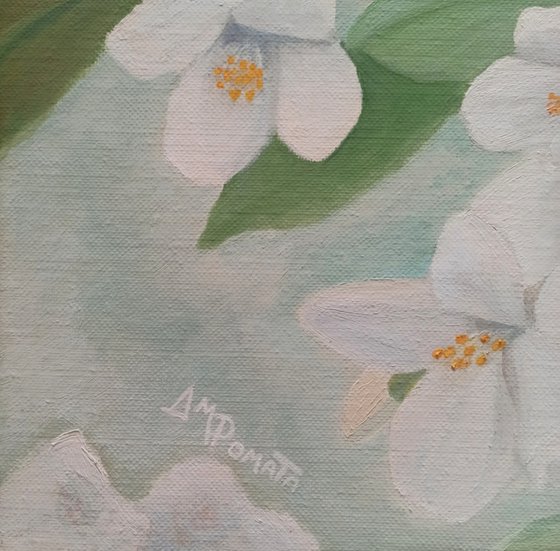 Orange Blossoms