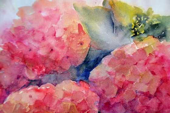 HYDRANGEAS original watercolor 33X26