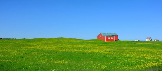 Small Orange House