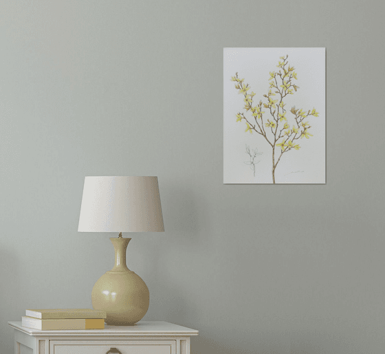 "Forsythia"