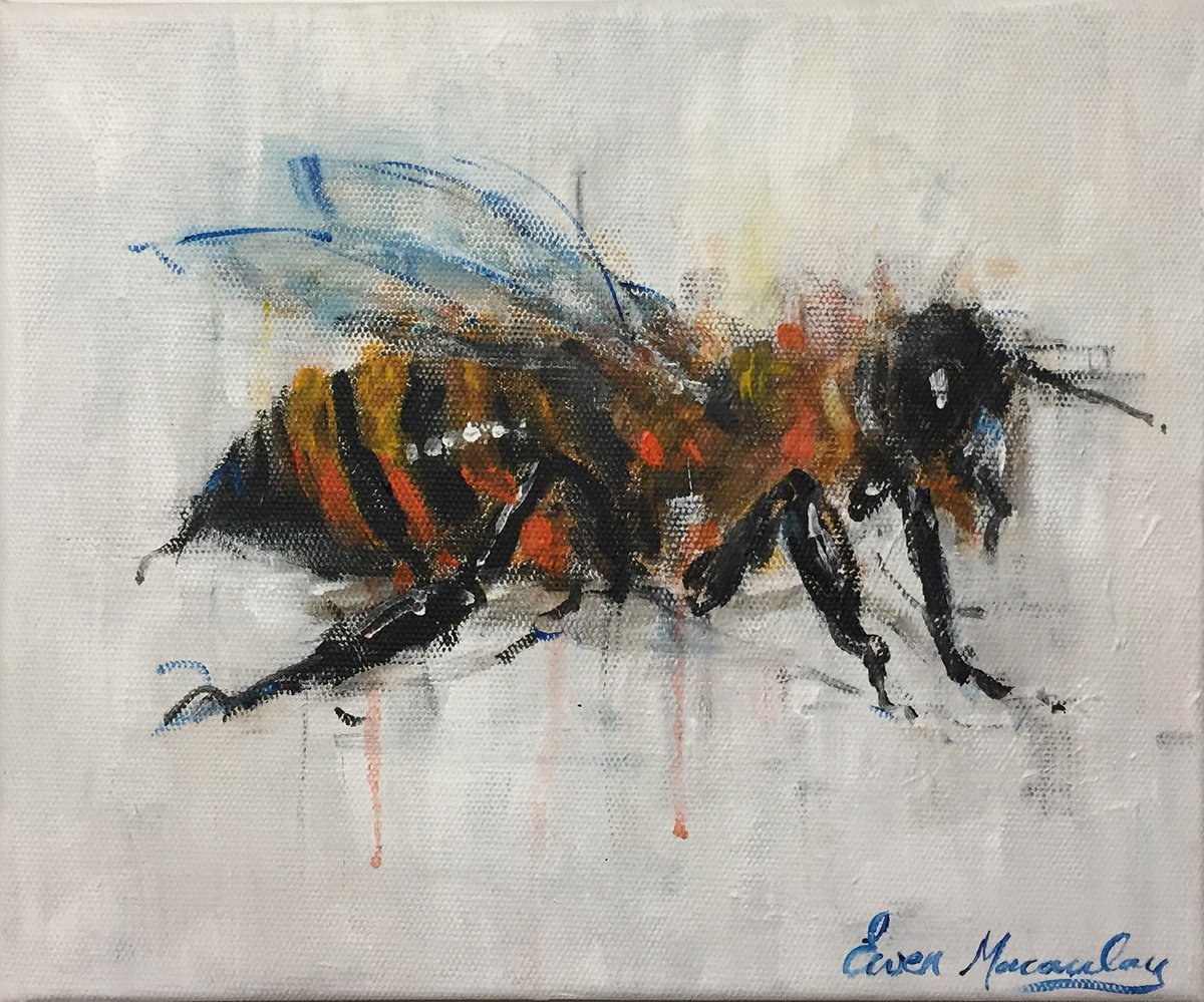 Bumble Bee by Ewen Macaulay