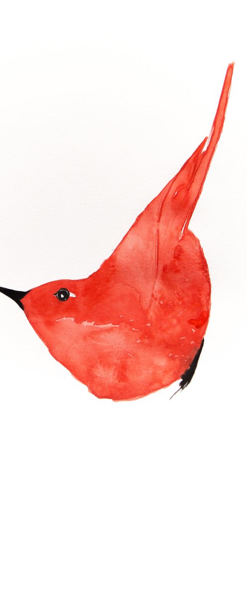 Bird by Nadia Moniatis