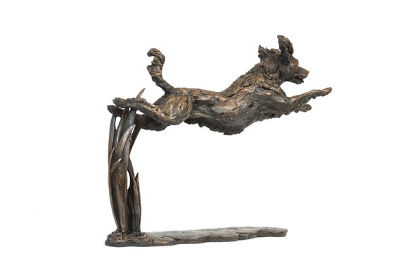 Leaping Spaniel BR