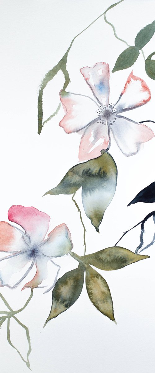 Cherry Blossom No. 14 by Elizabeth Becker