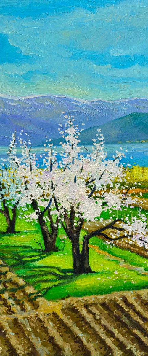 Spring day by Joan Mato