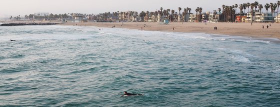 Venice Beach #2
