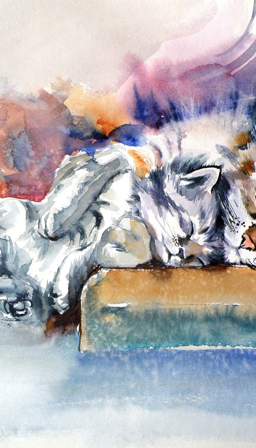 Sleeping cats by Kovács Anna Brigitta
