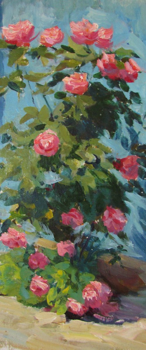 Pink roses by Viktoriia Pidvarchan