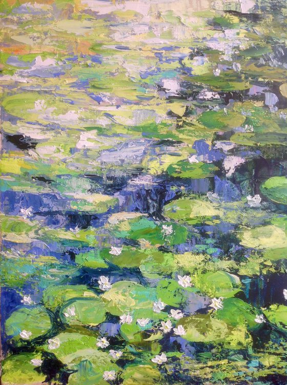 Waterlilies