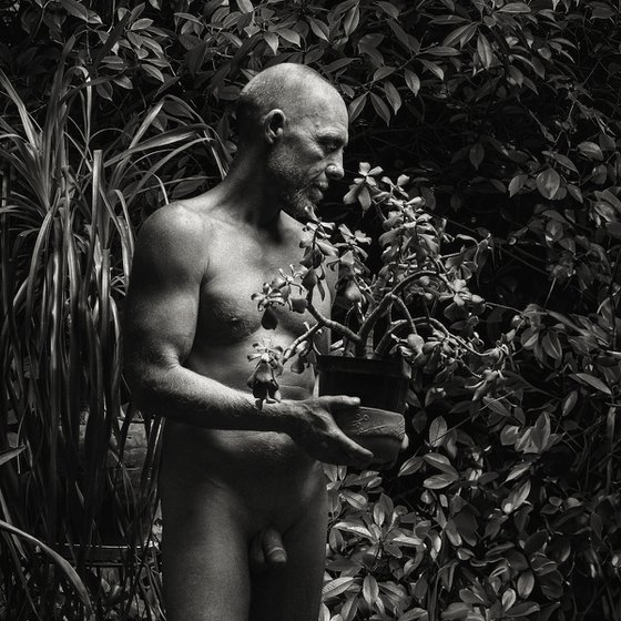 Male Nude with Plant