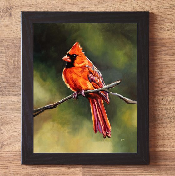 Northern cardinal bird in nature