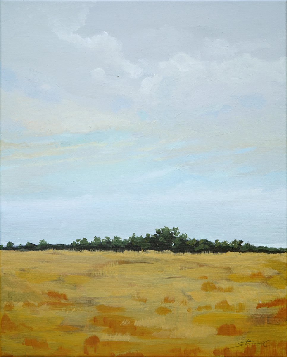Yellow Field of a Cloudy Day by Shina Choi