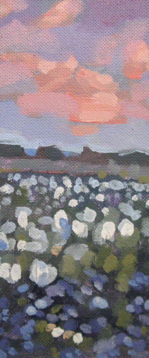 SUMMER EVENING. by LENKA STASTNA