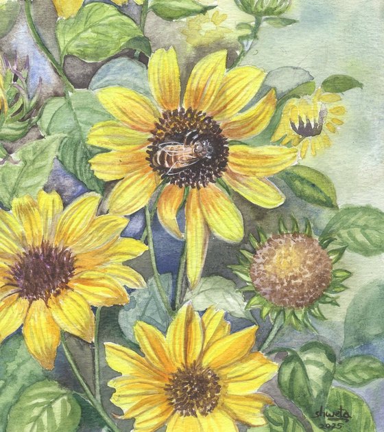 Sunflowers