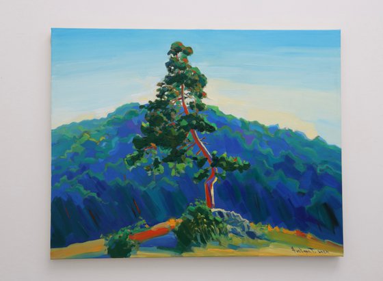 Lonely tree