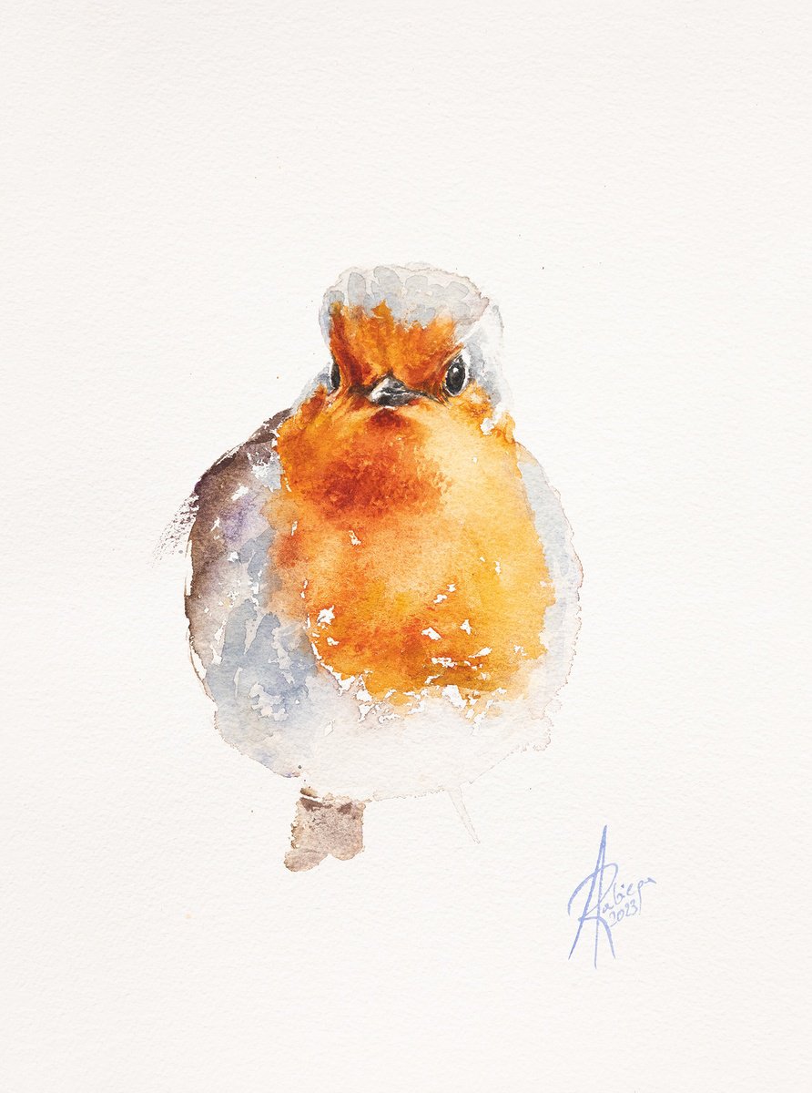 Animal Watercolour By Andrzej Rabiega, 9 X 12, Robin, Original Artwork