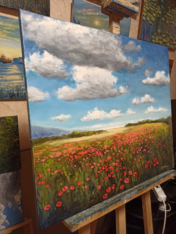 Poppies near the sea