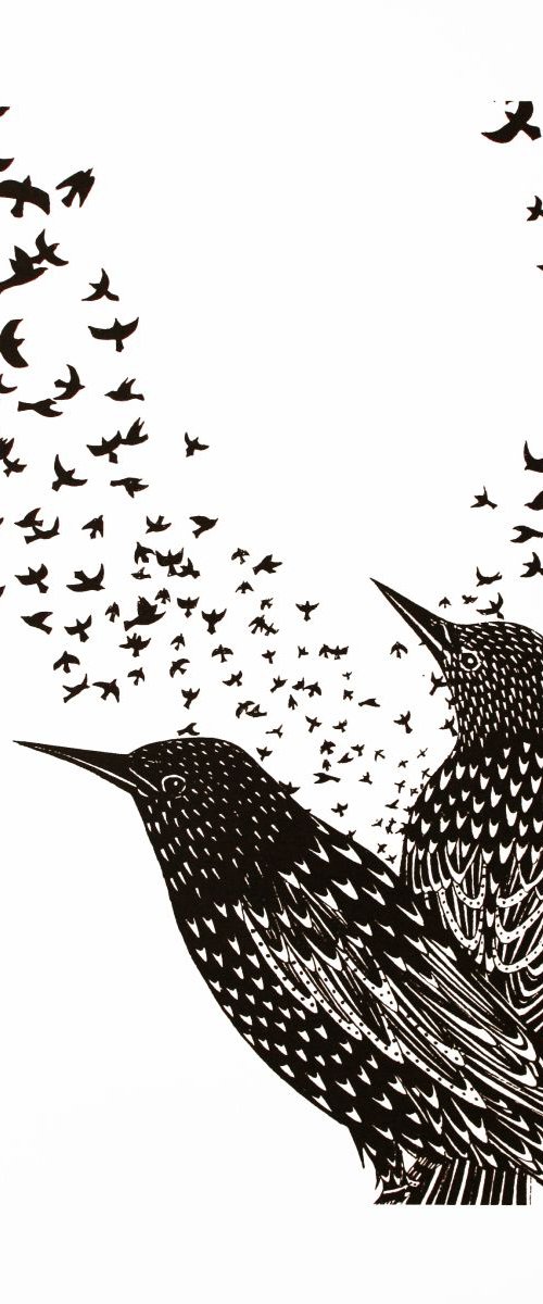 Starlings by Kath Edwards