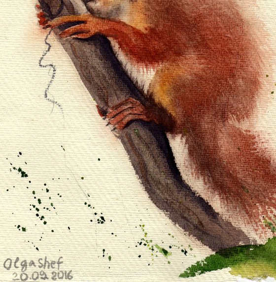 Original Watercolor Squirrel in the hat Painting