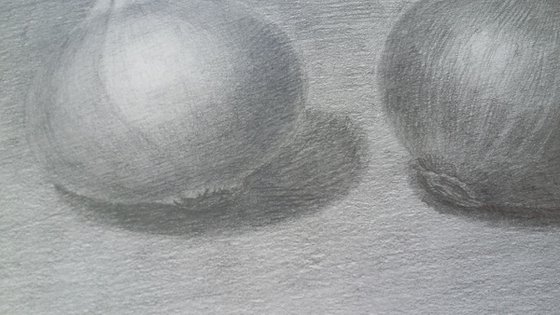 Still life # 3 Onion. Original pencil drawing.