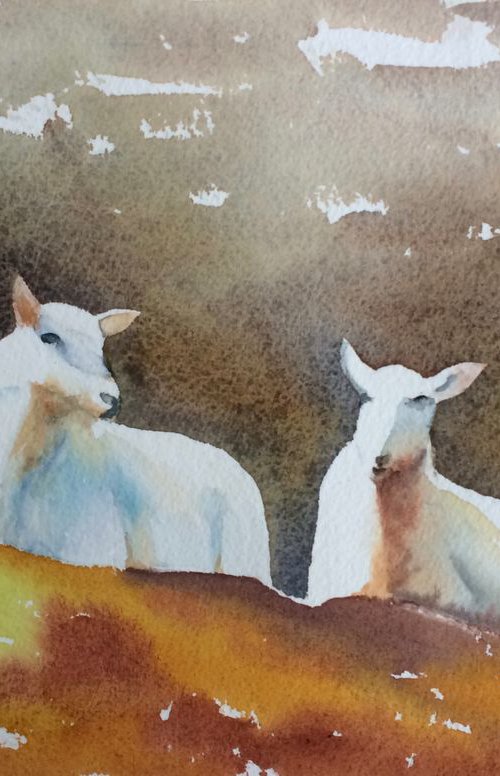 Two sheep by Silvie Wright