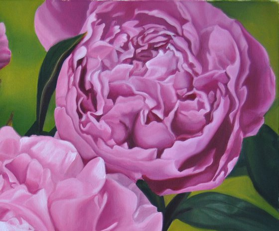 Peonies painting