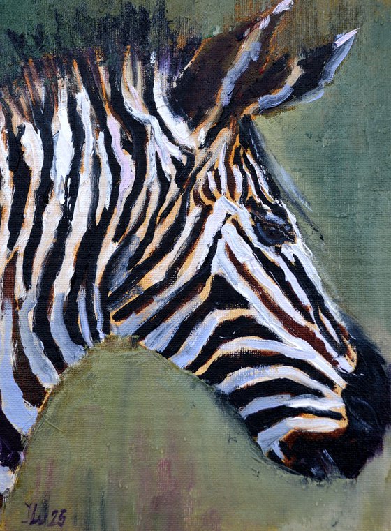 Zebra in profile