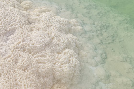 Dead Sea. Patterns of solid salt