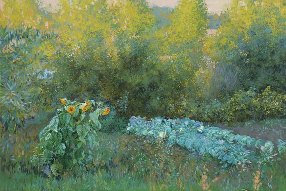 Granny's backyard