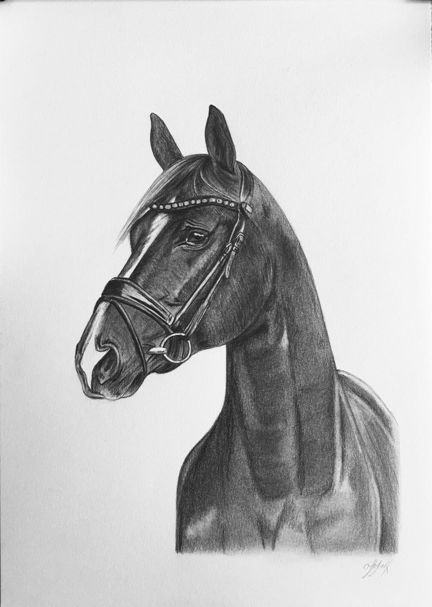Horse by Amelia Taylor