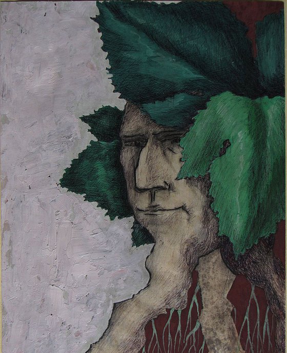 Sguardo di vigna