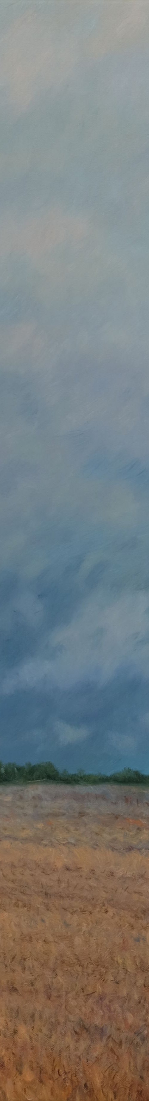 The dog weather tristesse by Richard Mierniczak