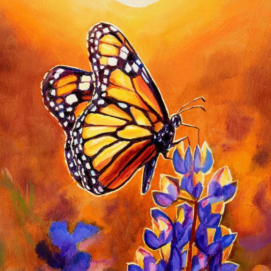 Monarch butterfly & bluebonnet