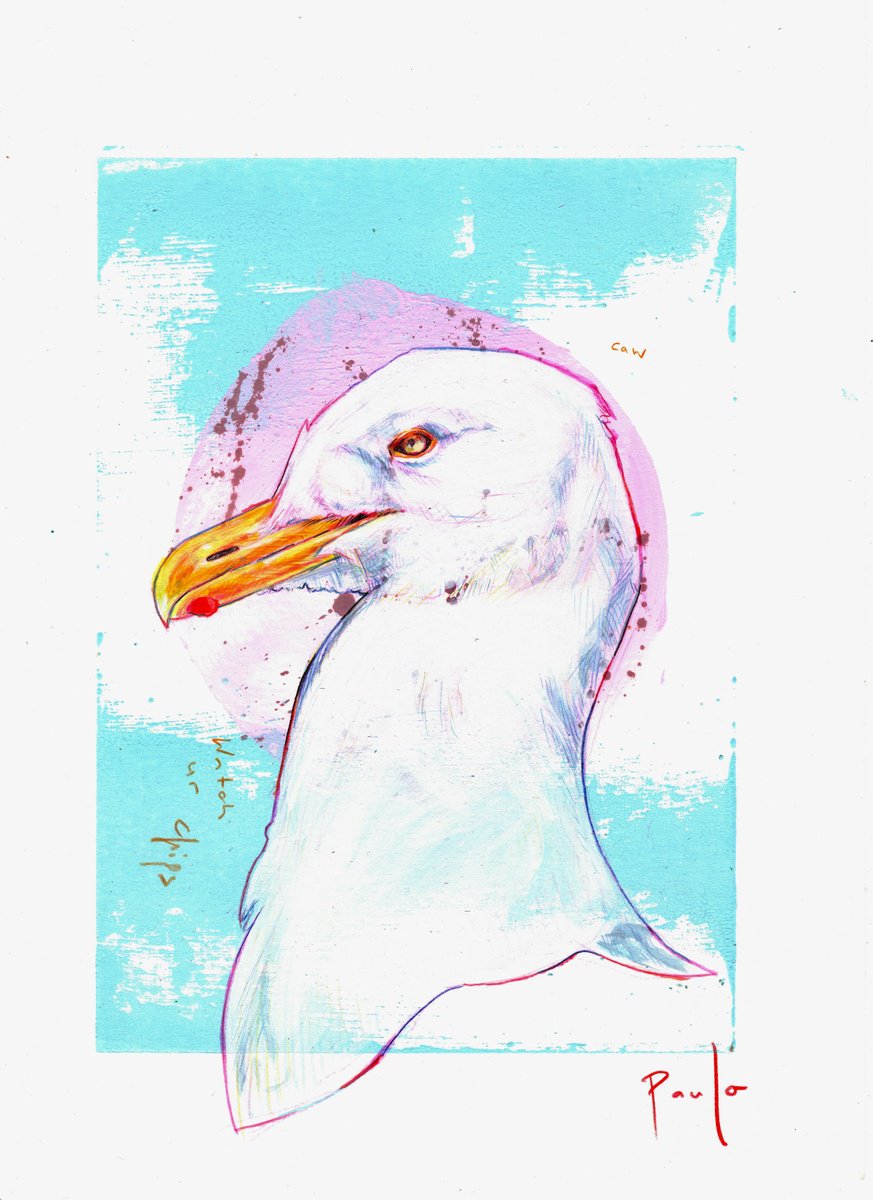 Illustrative Animal Pencil Drawing By Paul Ward, 8 X 11", Herring Gull, Original Artwork