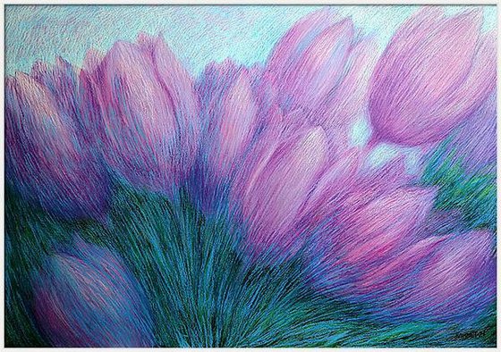 Violet Tulips
