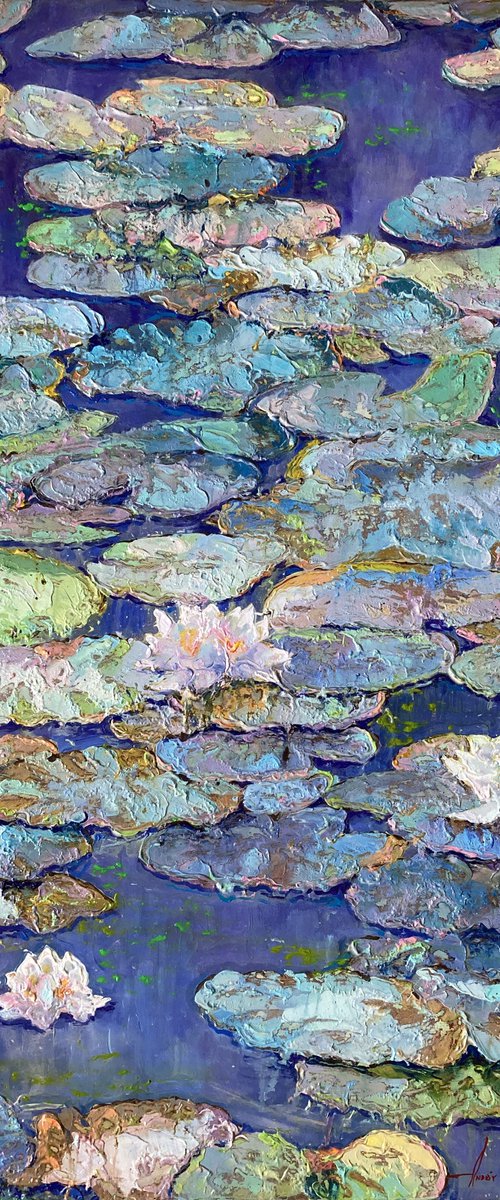 Water lilies. by Andriy Vutyanov