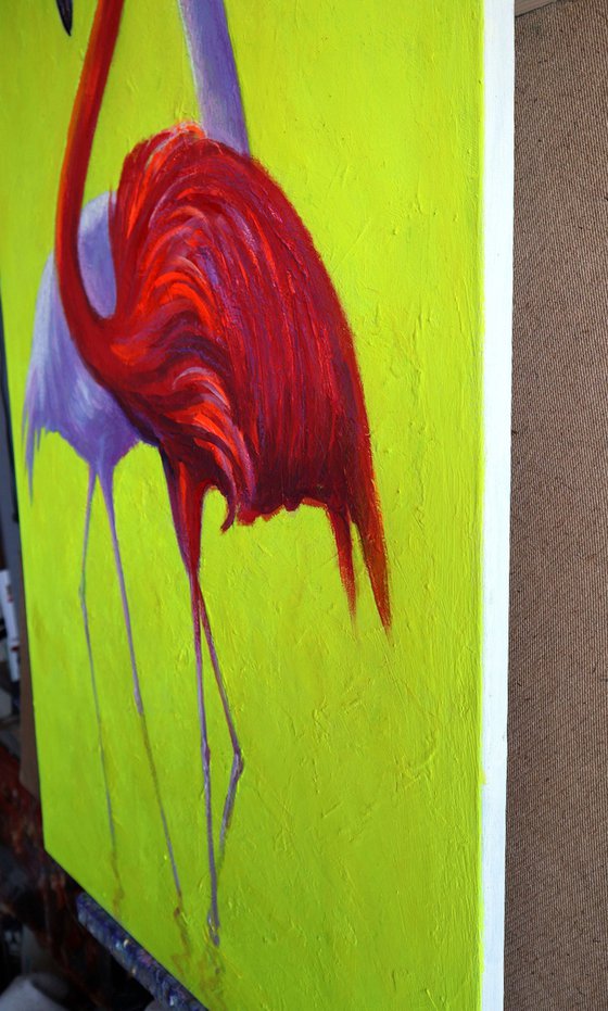 Flamingo 2