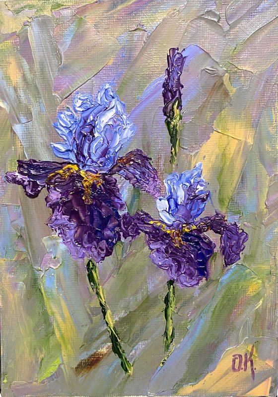 Irises