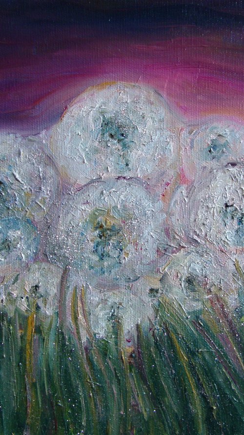 Field of dandelions by Olga Knezevic
