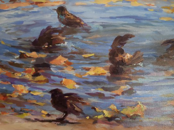 Autumnal bathing