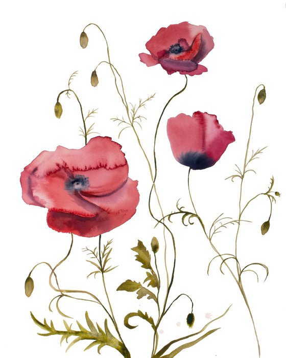 Poppies No. 2