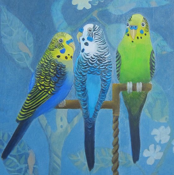 Three Budgies