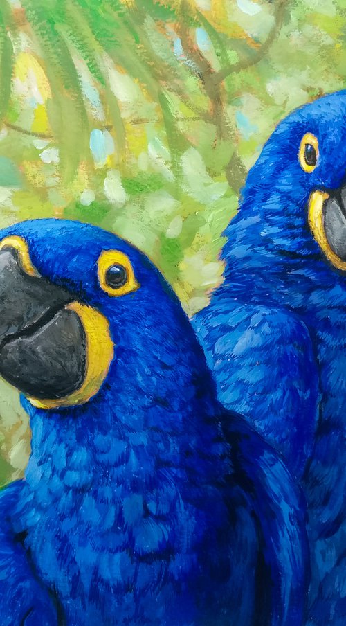 Blue happiness by Gabriel Hermida