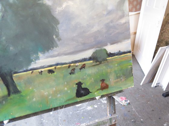 Cow Meadow