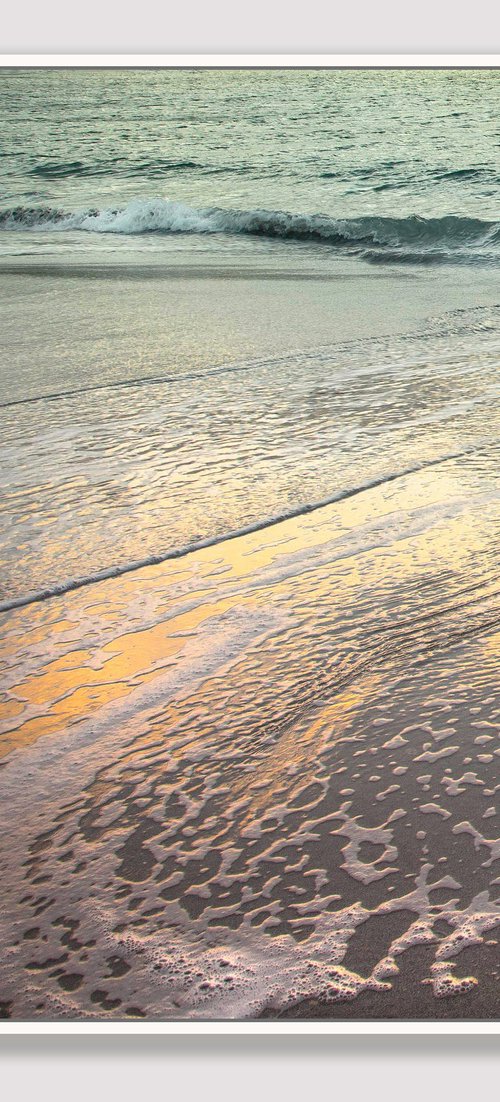 Seasalt and Sand by Lynne Douglas