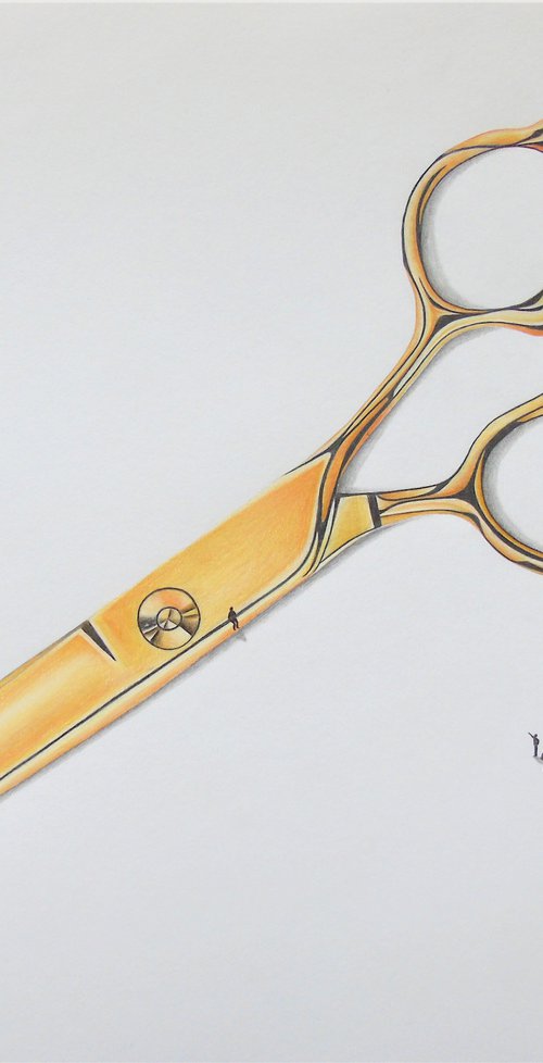 Hairdressing Scissors by Daniel Shipton